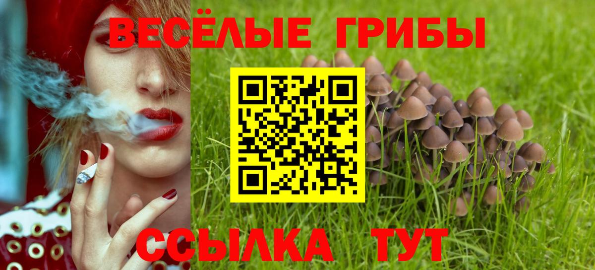 Сосновый Бор  Галлюциногенные грибы мухоморы  Вход с VPN 