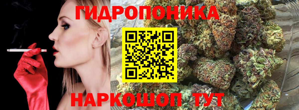 Марихуана план  Шишки марихуана ГИДРОПОН  Сосновый Бор  Конопля план  Вход с VPN 
