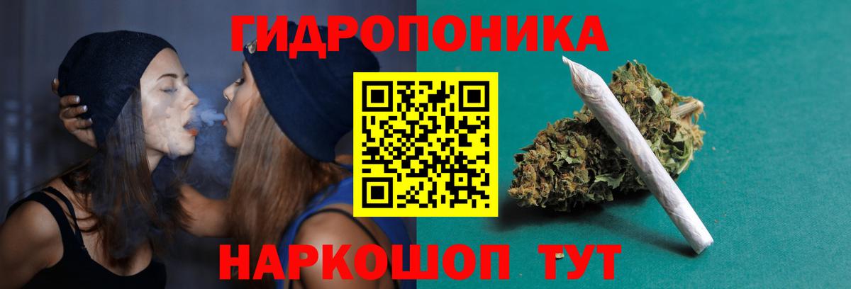 Шишки марихуана Amnesia Сосновый Бор